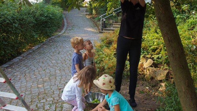 Apfelernte in der Kita 