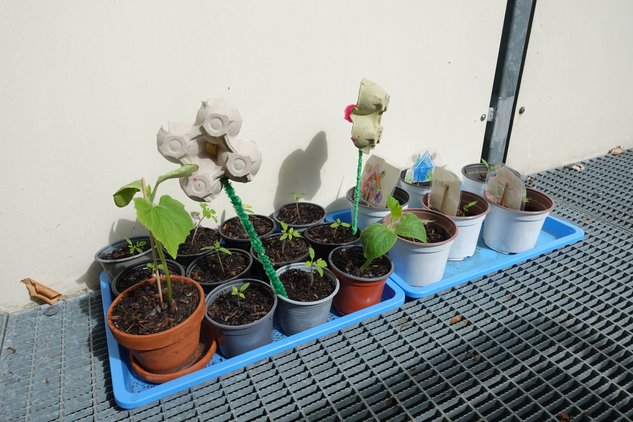 Gartenprojekt_Kita Wirbelwind